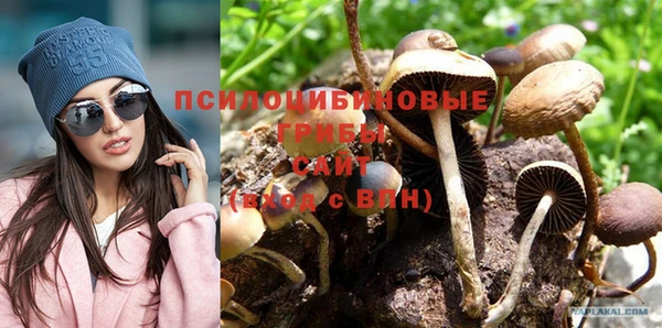 бошки Касимов