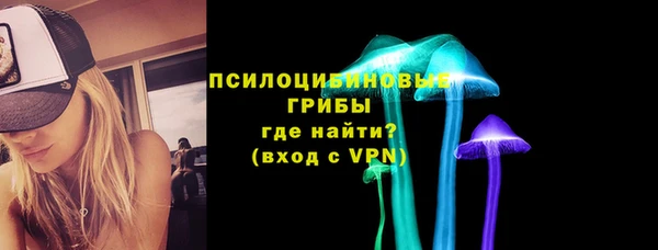 бошки Касимов