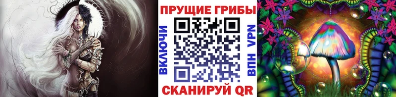 Псилоцибиновые грибы Cubensis  Сосновоборск 