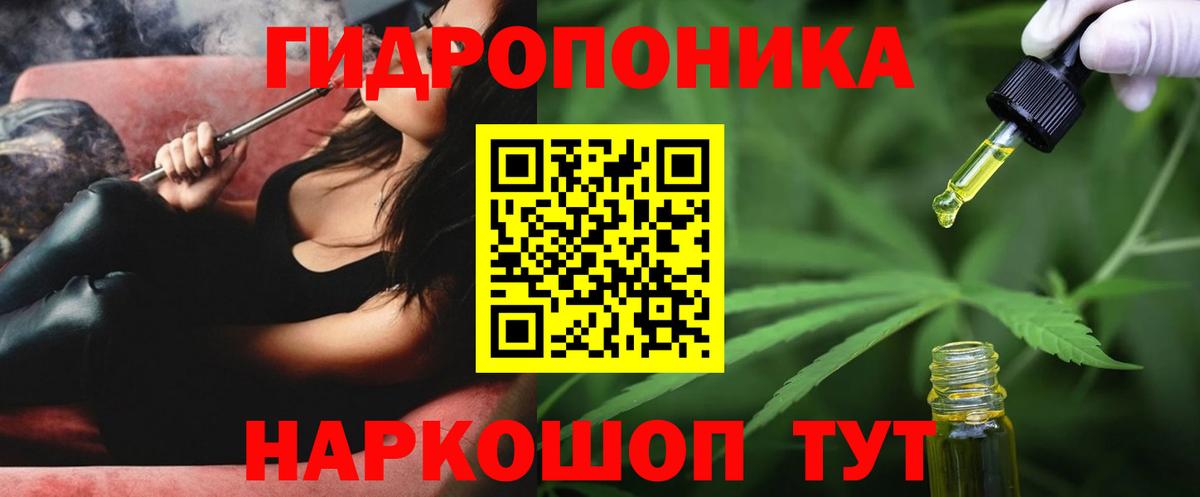 Сосновоборск  Канабис конопля  Бошки Шишки план  Вход с VPN 